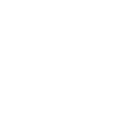 Newspiritdakhla Sticker