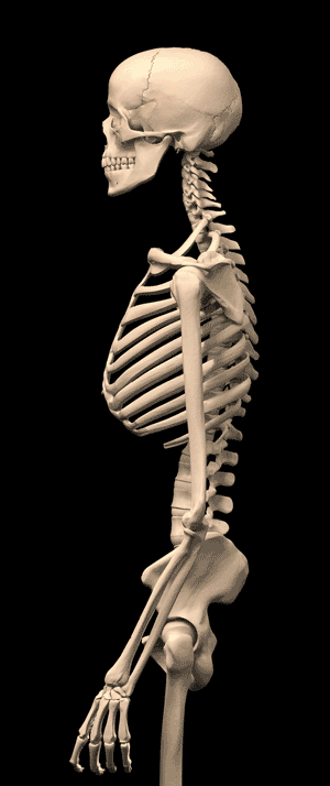 skeleton effects GIF