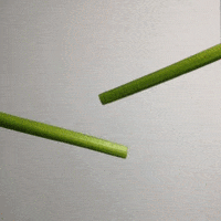 Celery GIFs - Find & Share on GIPHY