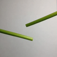 celery cheeseball GIF