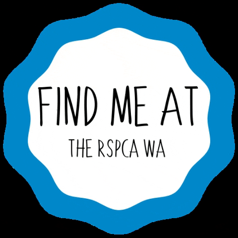 RSPCA WA GIF