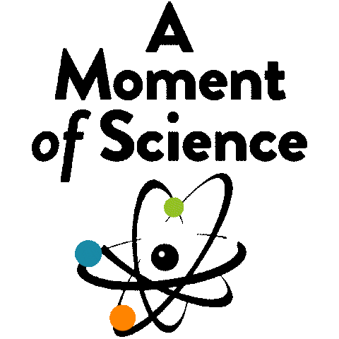 Children Sticker by LittleThingsMtr