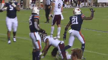 College Football No GIF by SEC Network