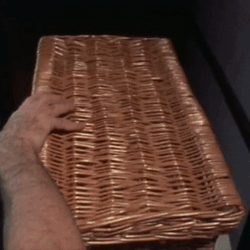 basket case horror movies GIF by absurdnoise