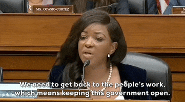 Government Shutdown House Republicans GIF by GIPHY News