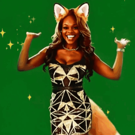 Foxxe Banner