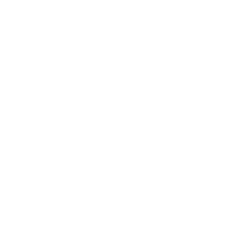 Delegazione FAI Sticker