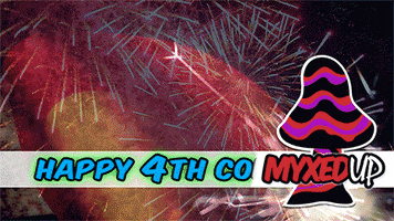 Celebrate Independence Day GIF by MyxedUp