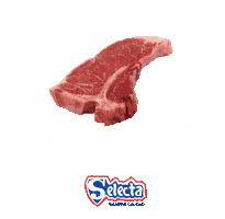 ESELECTA01 Sticker