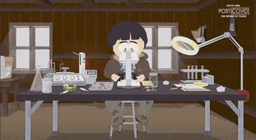 Smoke Examine GIF by South Park