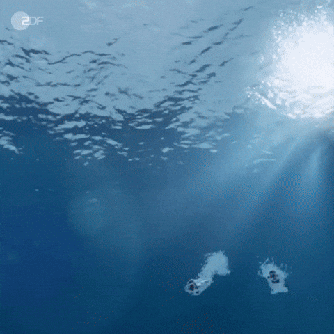Water Swimming GIF by ZDF