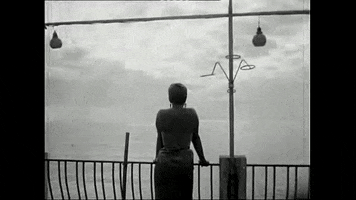 scienceviz sonne halt ferry radax konrad bayer GIF