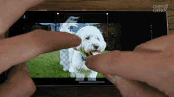 Inteligencia Artificial GIF