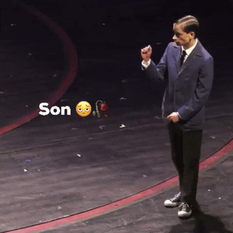 Stranger Things Son GIF