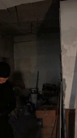 Dicdic GIF