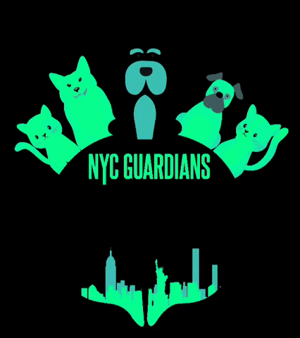 Cat GIF by NYC GUARDIANS
