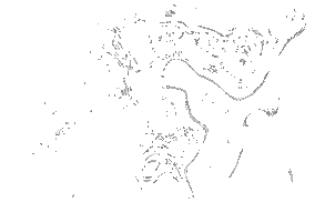 Art Illustration Sticker by Aavistus Festival