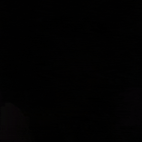 One Piece Netflix GIF by partner in crime