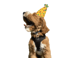 Happy Birthday Dog Sticker