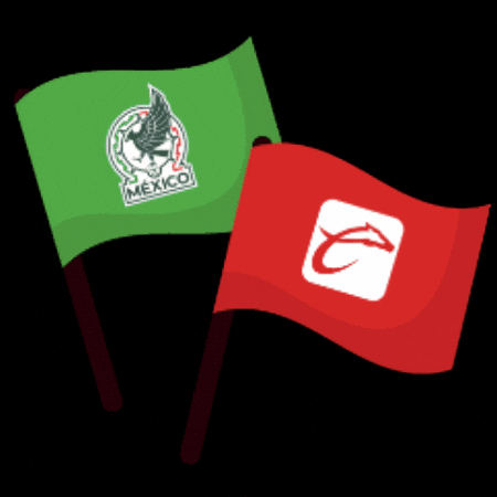 Mexico Seleccion GIF by Caliente.mx
