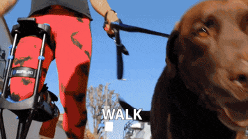 Crutches GIF