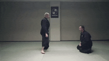 martial arts ninja GIF by AKBAN Academy