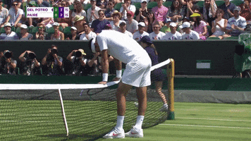 fail del potro GIF by Wimbledon