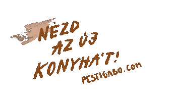 Pesti_Gabo Sticker