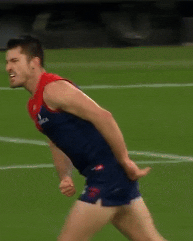 Lets Go Yes GIF by Melbournefc
