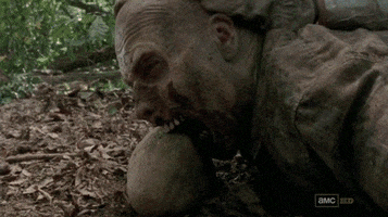 best season dead from walking