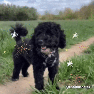 Celebrate American GIF