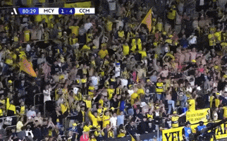 Ccm GIF