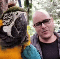 Cochimkt GIF