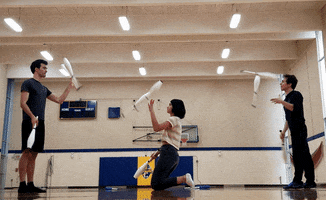 Minnesota GIF