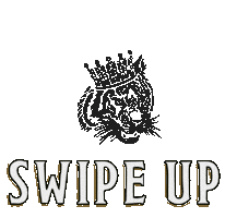 Swipe Up Conor Mcgregor Sticker by properwhiskey