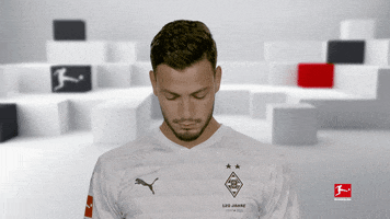 Line Up Smile GIF by Bundesliga