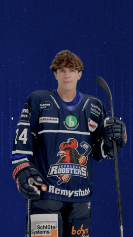 GIF by Iserlohn Roosters