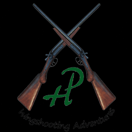 hpwingshooting GIF