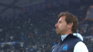 Andre Villas Boas Reaction GIF by Olympique de Marseille