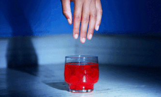 200.gif?cid=fc005b08ecfade996d63a5f0511de5039caea456ef96a230&rid=200.gif&ct=g
