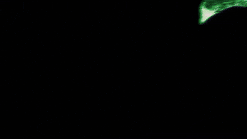 Owl GIF by SkyZimba