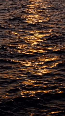 GIF by bmaisca
