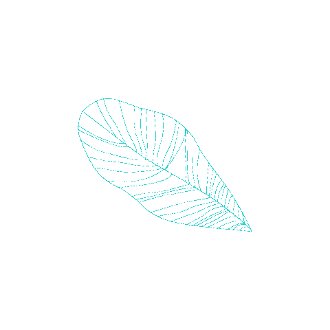 Leaf Sticker