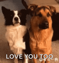 Your Smile Is Too Cute Gifs Get The Best Gif On Giphy Your Smile Is Too Cute Gifs Get The Best Gif On Giphy