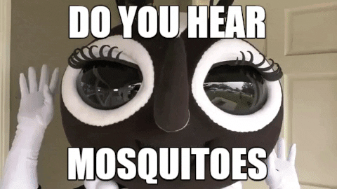 Protect Public Health GIF by SGVmosquito - Find & Share on GIPHY