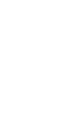 Paradise Coast Sticker