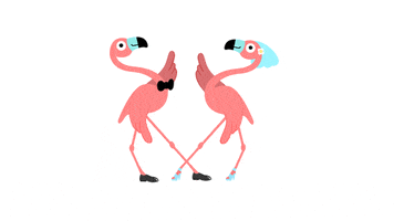 Tambu dancing wedding bride flamingo GIF