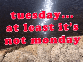 Happy Tuesday GIF by Justin