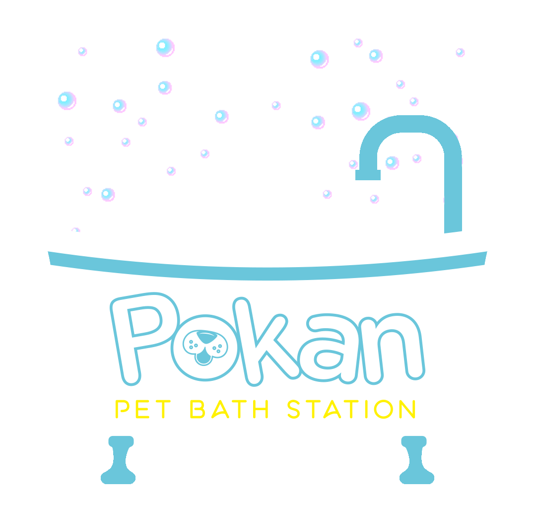 Dogs Bath Sticker by Pokan México for iOS & Android GIPHY