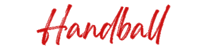 SAM Handball Moncoutant Sticker